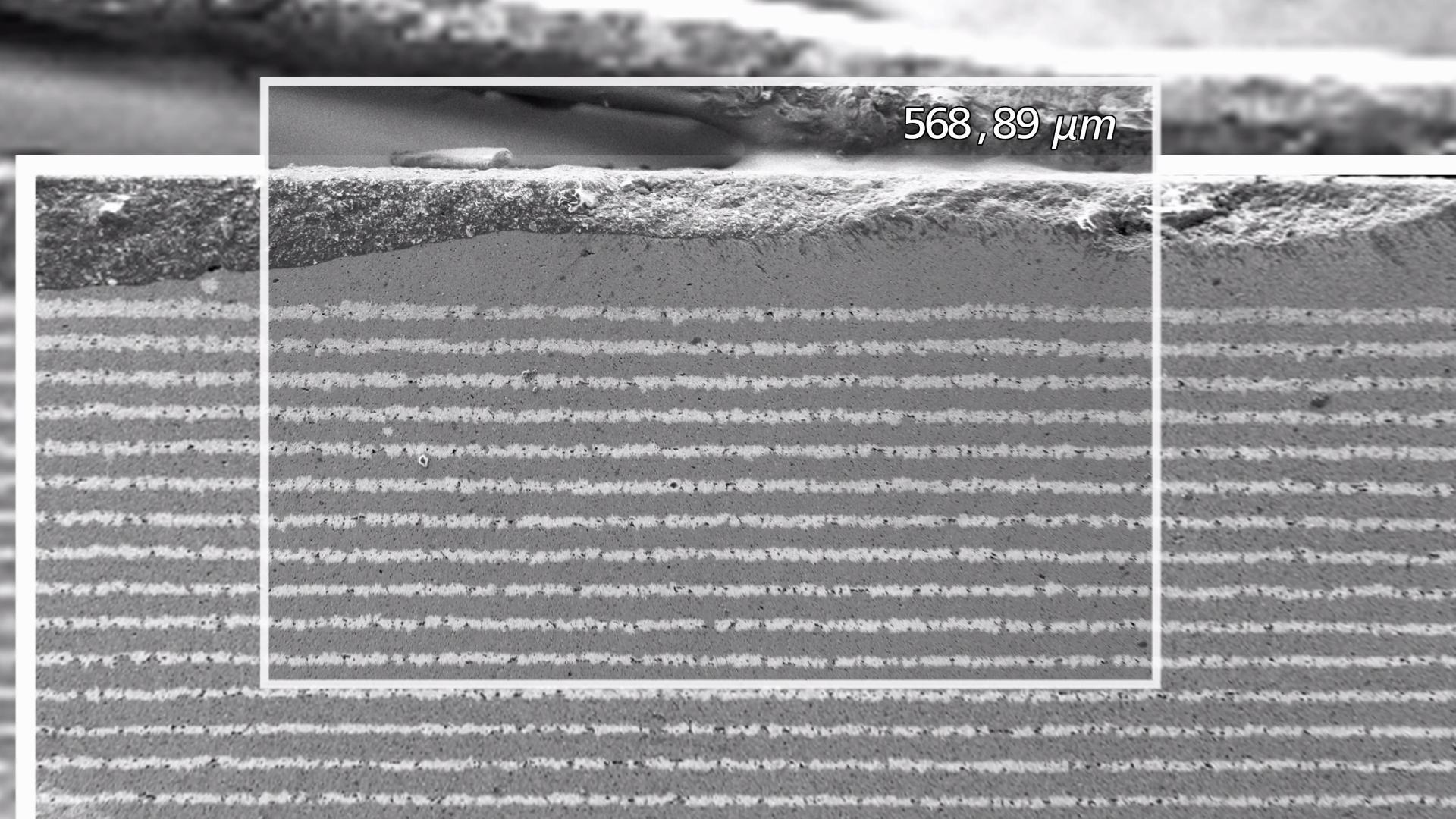 Análisis de la composición de las capas de la batería de iones de litio con ZEISS EVO 25 