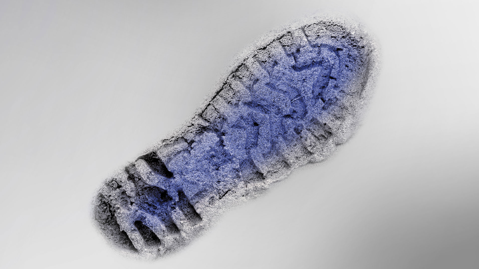 Visualización de estructuras en huellas de calzado con sistemas de medición óptica