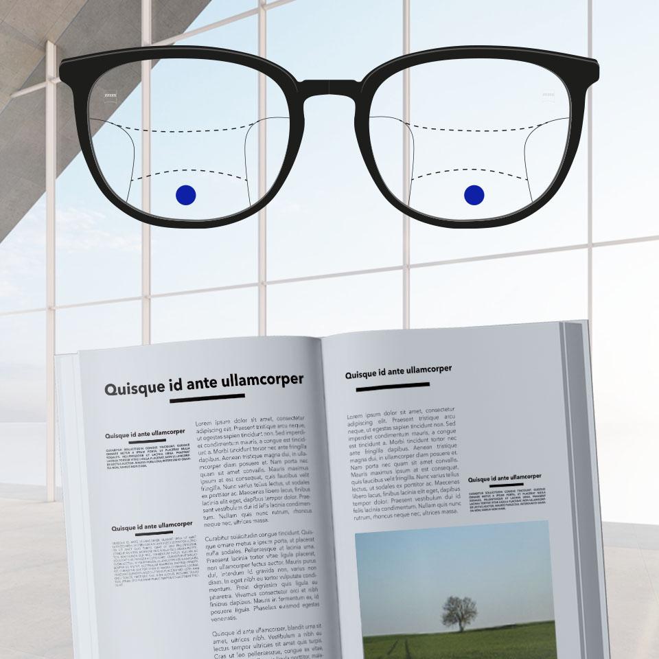 Una montura con lentes progresivos y líneas esquemáticas para indicar las distintas zonas de visión. Se destacan diferentes partes del lente: cerca - parte inferior de los lentes.